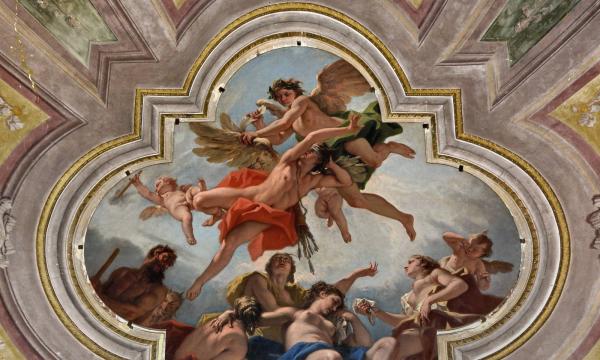 Elezioni del Direttore di Dipartimento SAGAS